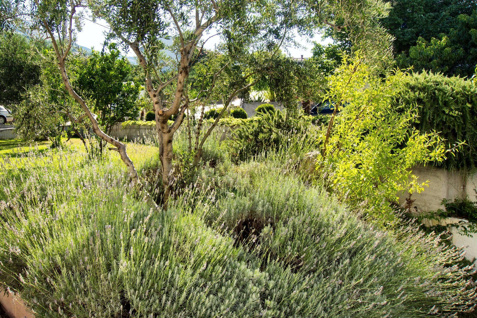 Villa Lavanda Podstrana Exteriör bild