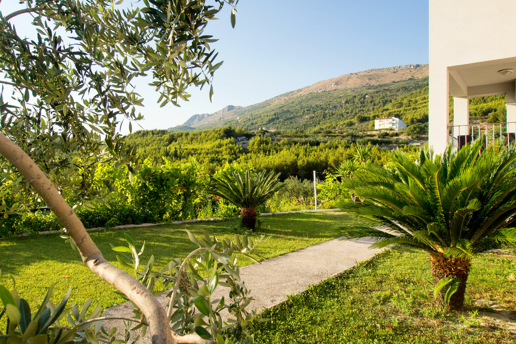Villa Lavanda Podstrana Exteriör bild